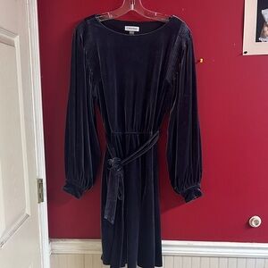 Calvin Klein Velvet Long-Sleeve Dress in Dark gray size 10